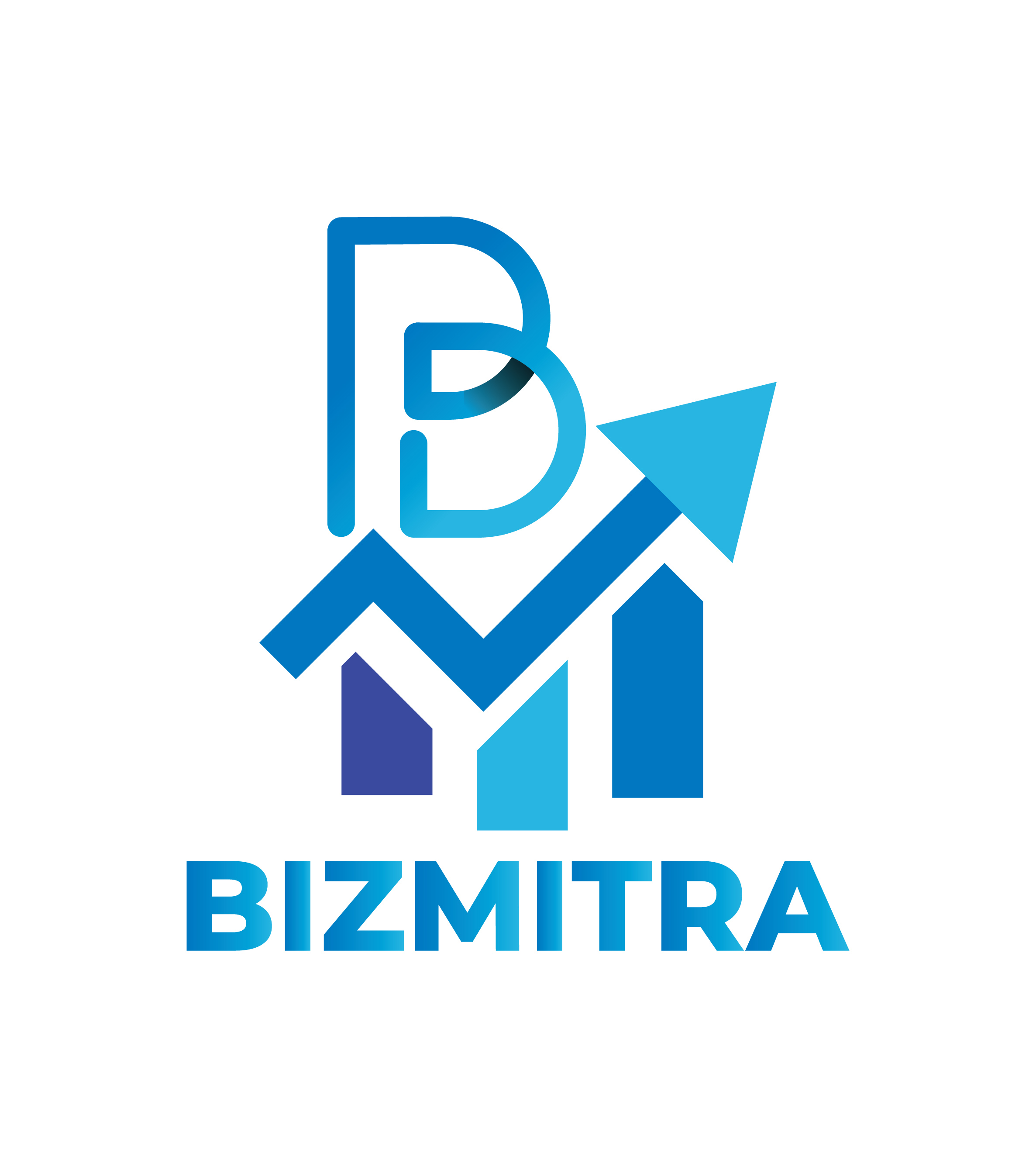 BIZ MITRA